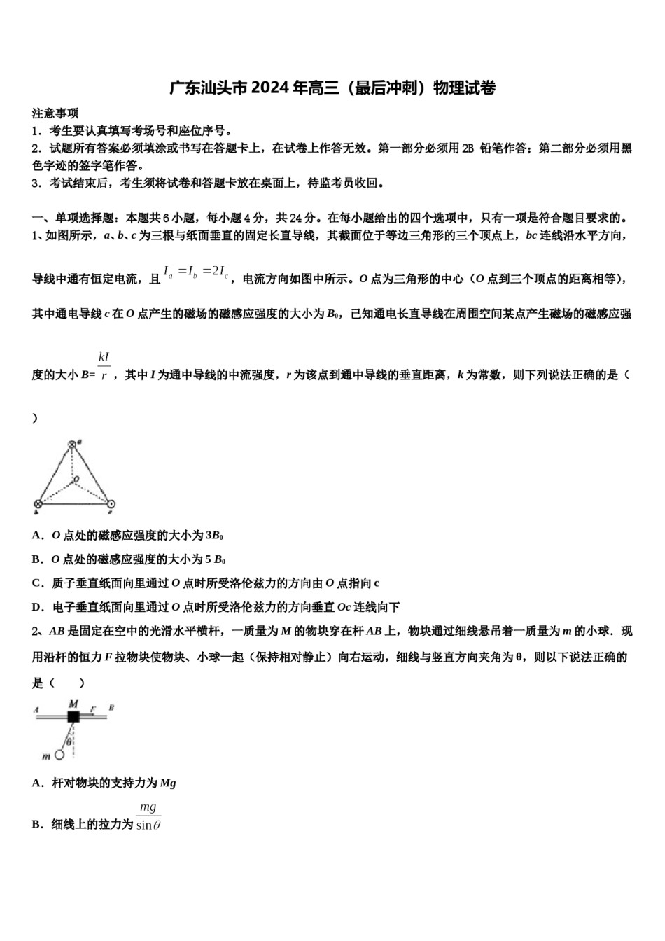 广东汕头市2024年高三（最后冲刺）物理试卷含解析.doc_第1页