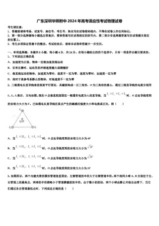 广东深圳华师附中2024年高考适应性考试物理试卷含解析.doc