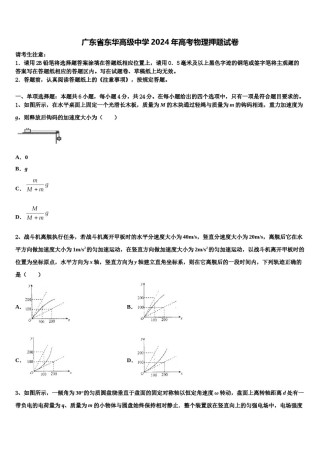 广东省东华高级中学2024年高考物理押题试卷含解析.doc