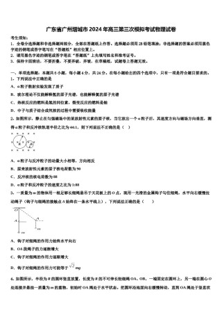 广东省广州增城市2024年高三第三次模拟考试物理试卷含解析.doc