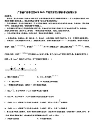 广东省广州市培正中学2024年高三第五次模拟考试物理试卷含解析.doc