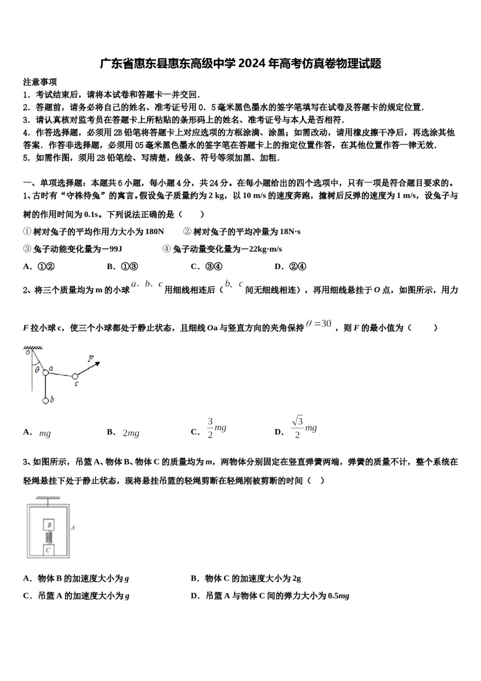 广东省惠东县惠东高级中学2024年高考仿真卷物理试题含解析.doc_第1页