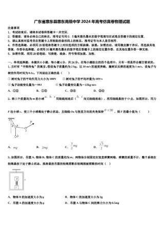 广东省惠东县惠东高级中学2024年高考仿真卷物理试题含解析.doc