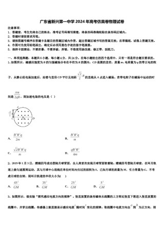 广东省新兴第一中学2024年高考仿真卷物理试卷含解析.doc