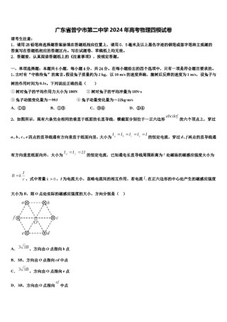 广东省普宁市第二中学2024年高考物理四模试卷含解析.doc