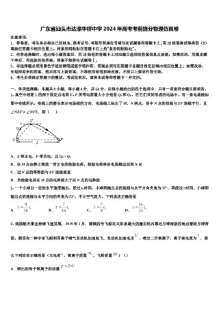 广东省汕头市达濠华桥中学2024年高考考前提分物理仿真卷含解析.doc
