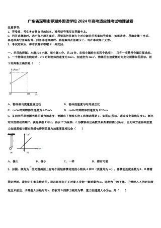 广东省深圳市罗湖外国语学校2024年高考适应性考试物理试卷含解析.doc