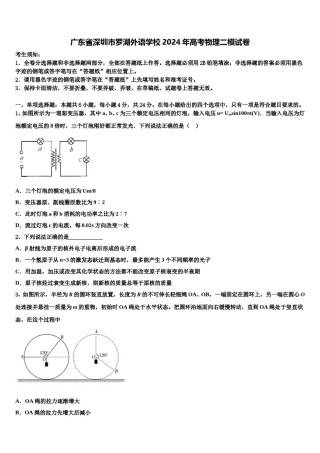 广东省深圳市罗湖外语学校2024年高考物理二模试卷含解析.doc