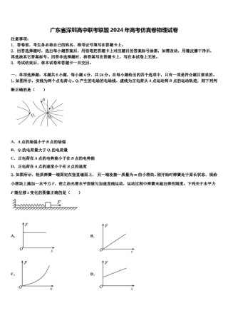 广东省深圳高中联考联盟2024年高考仿真卷物理试卷含解析.doc