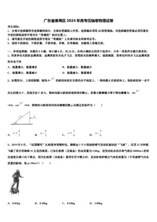 广东省番禺区2024年高考压轴卷物理试卷含解析.doc