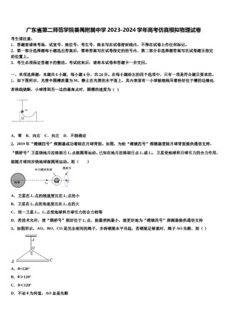 广东省第二师范学院番禺附属中学2023-2024学年高考仿真模拟物理试卷含解析.doc