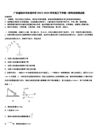 广东省陆丰市东海中学2023-2024学年高三下学期一模考试物理试题含解析.doc