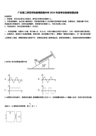 广东第二师范学院番禺附属中学2024年高考仿真卷物理试卷含解析.doc
