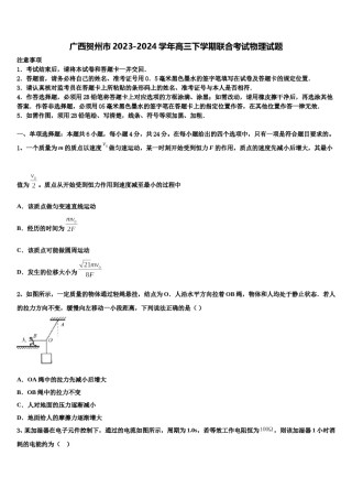 广西贺州市2023-2024学年高三下学期联合考试物理试题含解析.doc