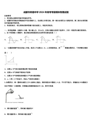 成都市树德中学2024年高考考前模拟物理试题含解析.doc