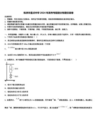 株洲市重点中学2024年高考考前提分物理仿真卷含解析.doc