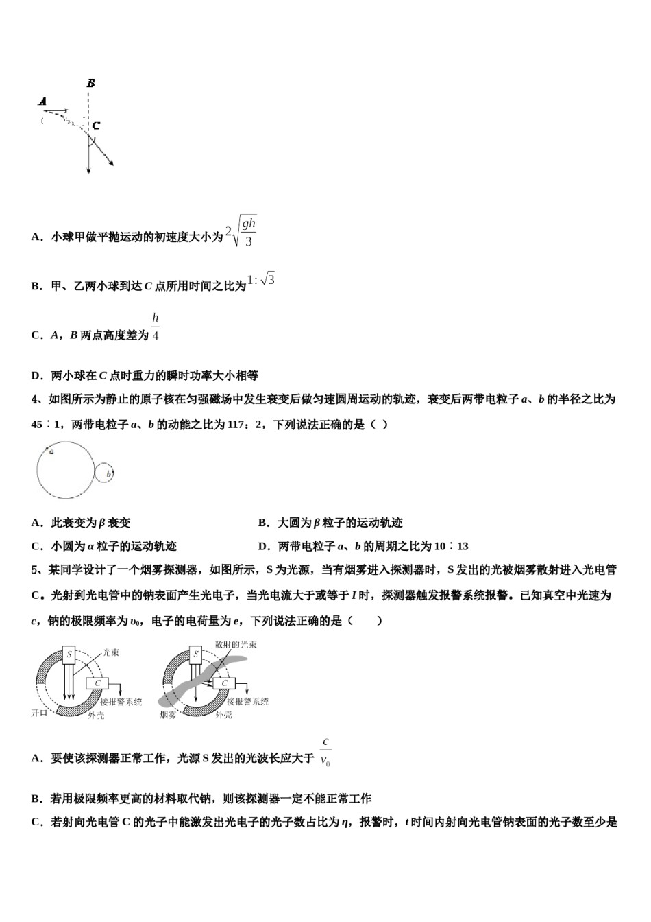 江苏省沭阳县修远中学2024年高考仿真卷物理试题含解析.doc_第2页