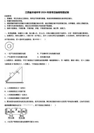 江西省丰城中学2024年高考压轴卷物理试卷含解析.doc