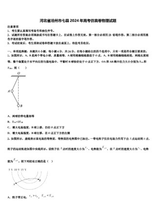 河北省沧州市七县2024年高考仿真卷物理试题含解析.doc