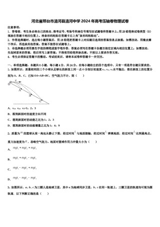 河北省邢台市清河县清河中学2024年高考压轴卷物理试卷含解析.doc