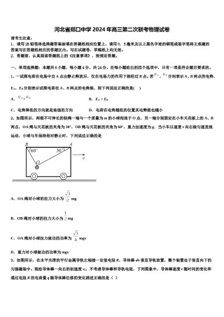 河北省郑口中学2024年高三第二次联考物理试卷含解析.doc