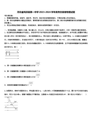 河北省鸡泽县第一中学2023-2024学年高考仿真卷物理试题含解析.doc