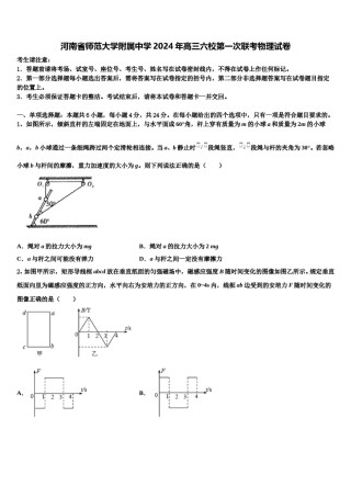 河南省师范大学附属中学2024年高三六校第一次联考物理试卷含解析.doc