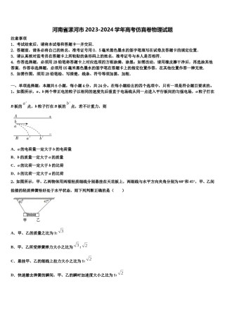 河南省漯河市2023-2024学年高考仿真卷物理试题含解析.doc