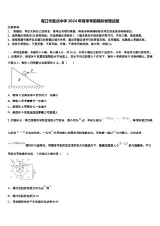 海口市重点中学2024年高考考前模拟物理试题含解析.doc