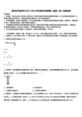 深圳市平湖中学2023-2024学年高考冲刺押题（最后一卷）物理试卷含解析.doc