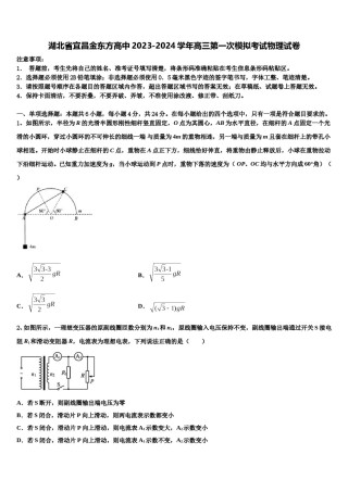 湖北省宜昌金东方高中2023-2024学年高三第一次模拟考试物理试卷含解析.doc