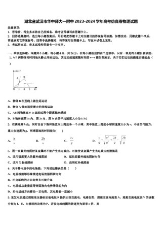 湖北省武汉市华中师大一附中2023-2024学年高考仿真卷物理试题含解析.doc