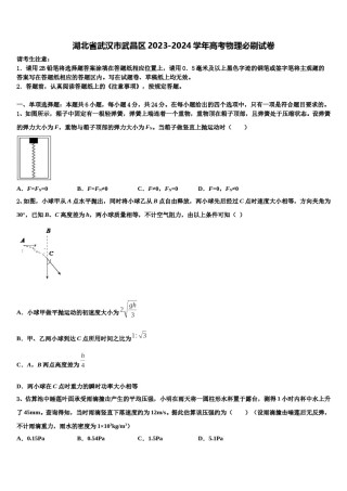 湖北省武汉市武昌区2023-2024学年高考物理必刷试卷含解析.doc