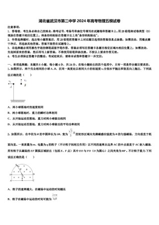 湖北省武汉市第二中学2024年高考物理五模试卷含解析.doc