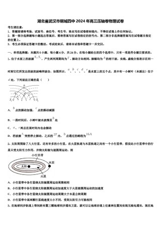湖北省武汉市钢城四中2024年高三压轴卷物理试卷含解析.doc