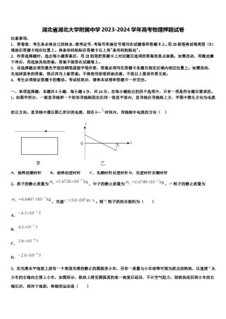 湖北省湖北大学附属中学2023-2024学年高考物理押题试卷含解析.doc
