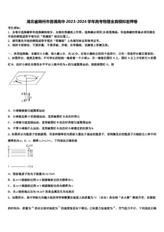 湖北省随州市普通高中2023-2024学年高考物理全真模拟密押卷含解析.doc