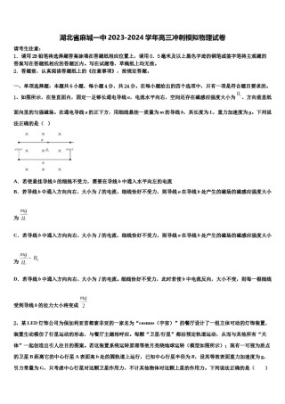 湖北省麻城一中2023-2024学年高三冲刺模拟物理试卷含解析.doc
