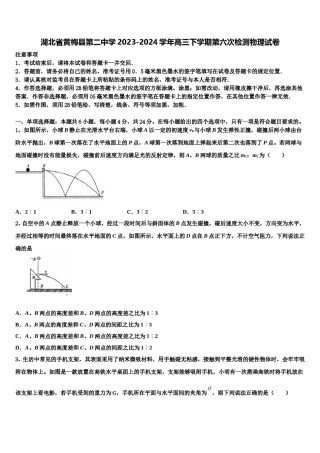 湖北省黄梅县第二中学2023-2024学年高三下学期第六次检测物理试卷含解析.doc