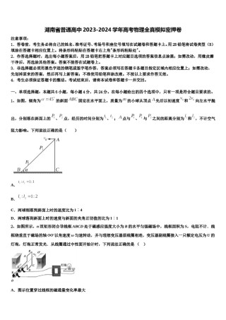 湖南省普通高中2023-2024学年高考物理全真模拟密押卷含解析.doc