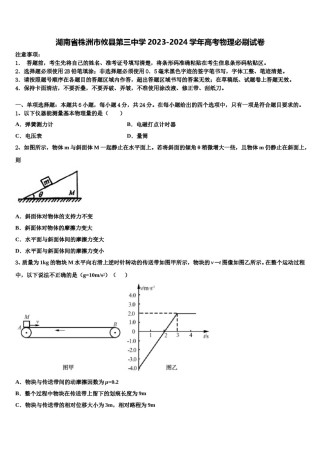 湖南省株洲市攸县第三中学2023-2024学年高考物理必刷试卷含解析.doc