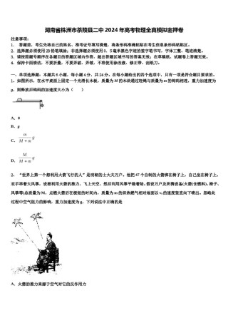 湖南省株洲市茶陵县二中2024年高考物理全真模拟密押卷含解析.doc