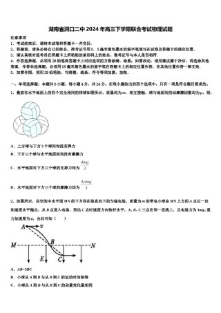 湖南省洞口二中2024年高三下学期联合考试物理试题含解析.doc