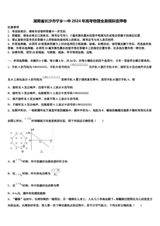湖南省长沙市宁乡一中2024年高考物理全真模拟密押卷含解析.doc