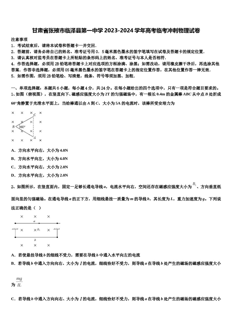 甘肃省张掖市临泽县第一中学2023-2024学年高考临考冲刺物理试卷含解析.doc_第1页