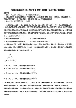 甘肃省武威市凉州区六坝乡中学2024年高三（最后冲刺）物理试卷含解析.doc