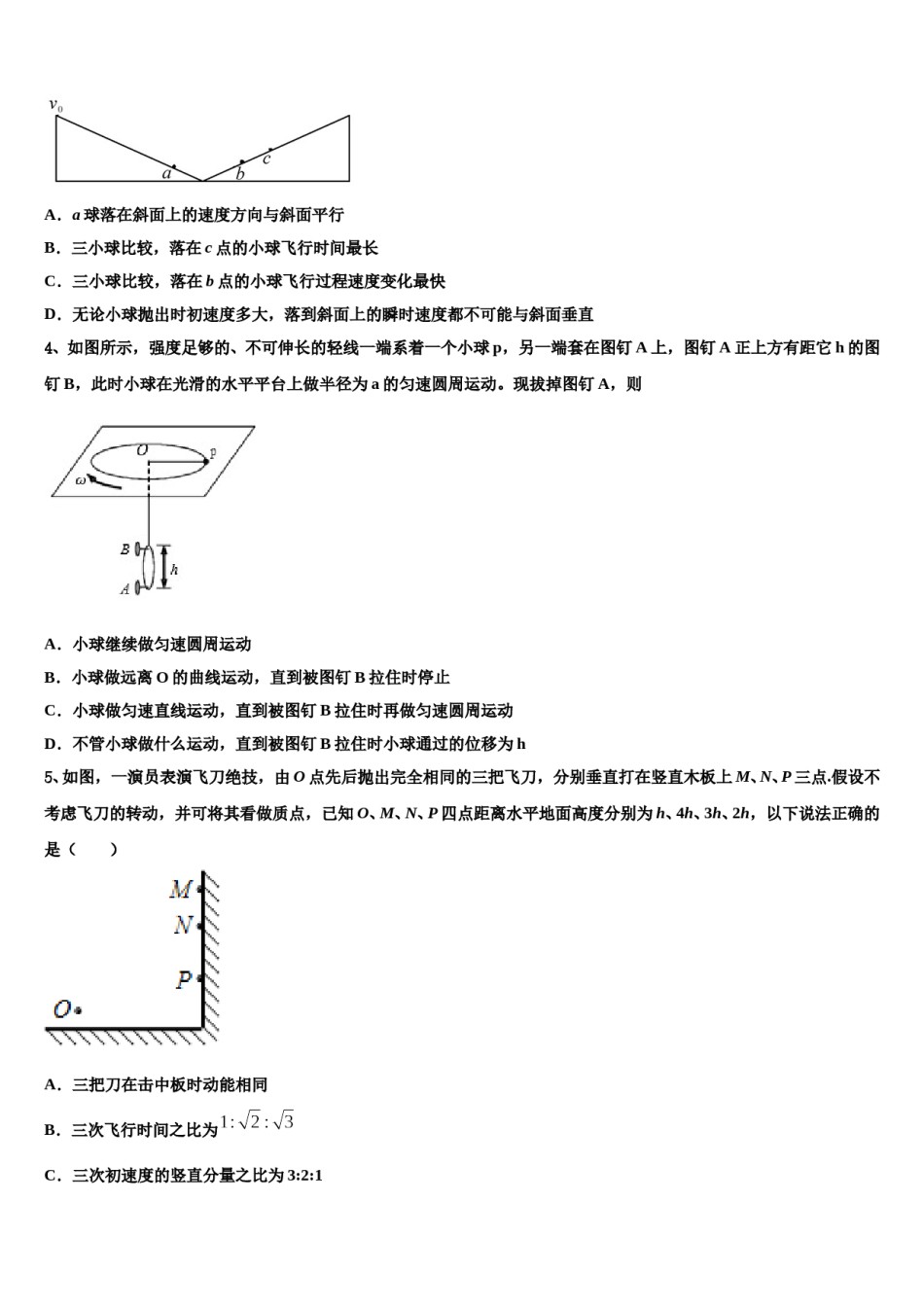 白鹭洲中学2024年高三（最后冲刺）物理试卷含解析.doc_第2页