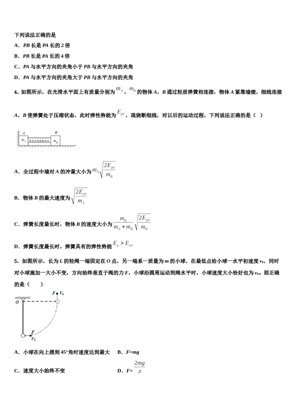 福建省龙岩市连城县第一中学2023-2024学年高考物理必刷试卷含解析.doc_第2页
