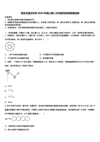 茂名市重点中学2024年高三第二次诊断性检测物理试卷含解析.doc