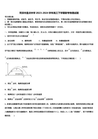 菏泽市重点中学2023-2024学年高三下学期联考物理试题含解析.doc